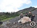 Goat Hunting
