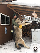 Wolf Hunting