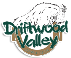 Driftwood Valley